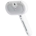 Steam Pet Brush with One-Click Removal