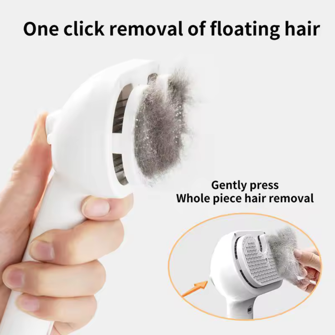 Steam Pet Brush with One-Click Removal